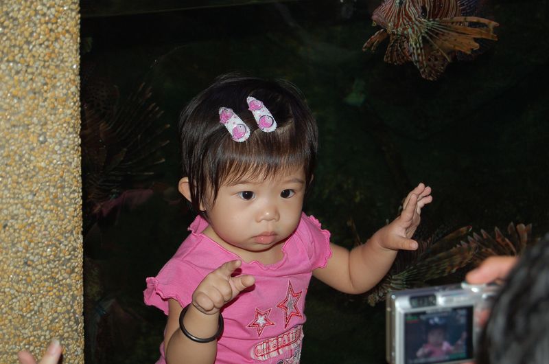DSC_7831.JPG