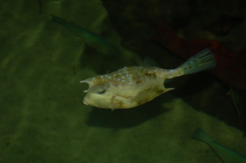 DSC_7832.JPG
