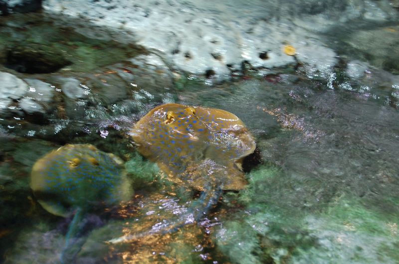 DSC_7838.JPG