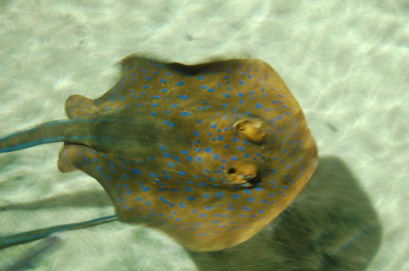 DSC_7840.JPG