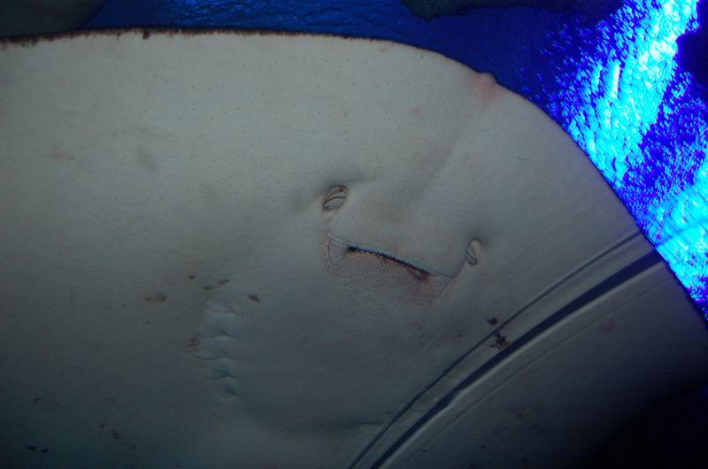 DSC_7848.JPG