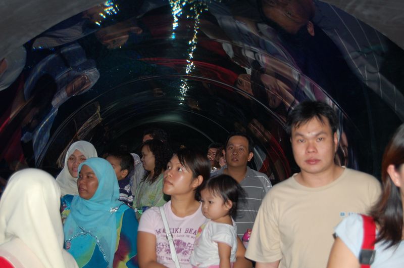 DSC_7866.JPG