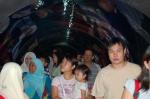 DSC_7866.JPG