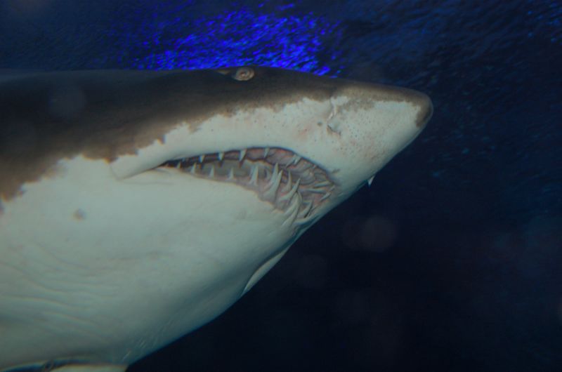 DSC_7875.JPG