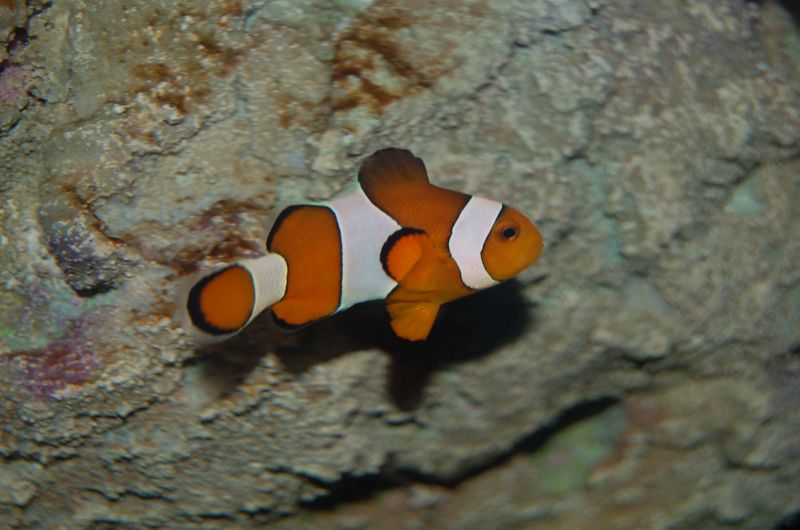 DSC_7886.JPG