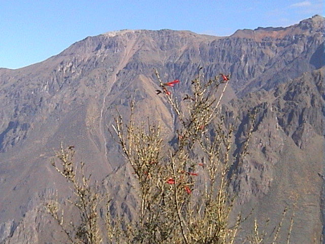 DSC00486
