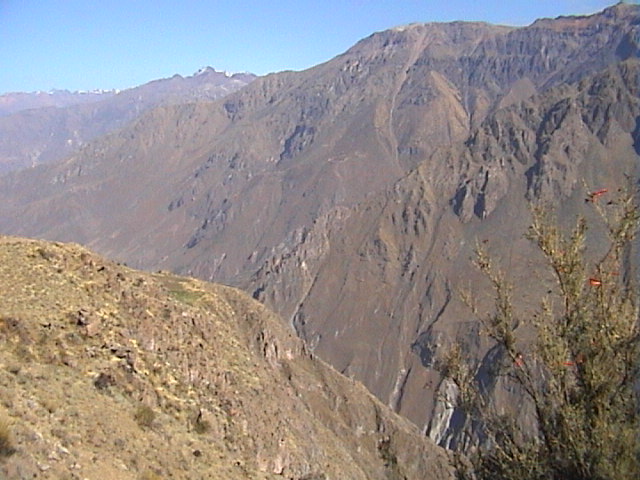 DSC00487