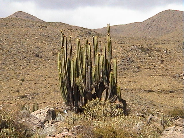 DSC00488