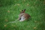 DSC_0077.JPG
