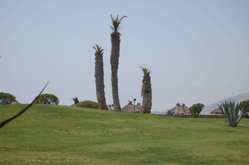 DSC_0224.JPG