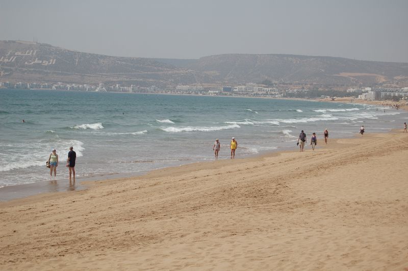 DSC_0229.JPG
