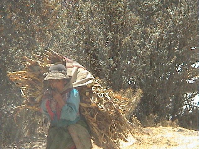 DSC00489