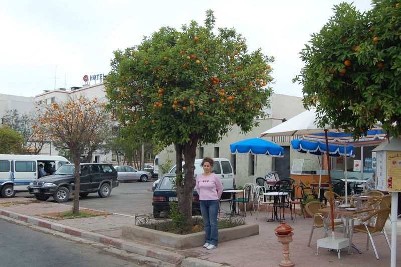 DSC_9987.JPG