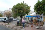 DSC_9987.JPG