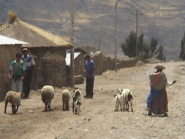 DSC00490