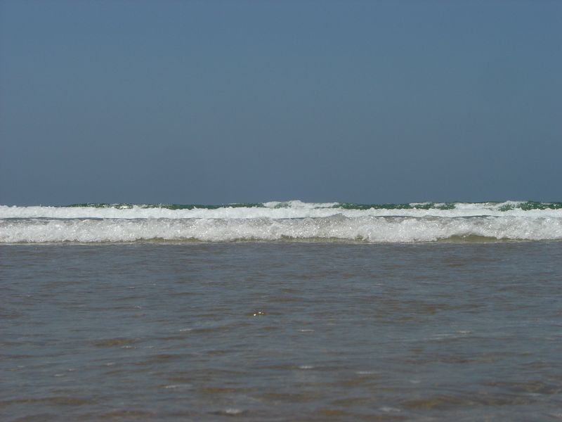 DSC_0155.JPG