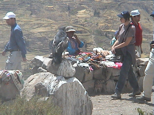 DSC00492