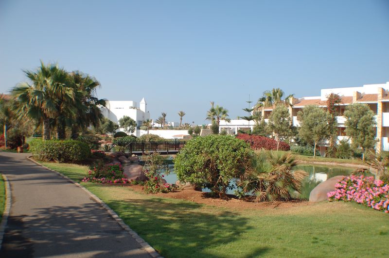 DSC_0254.JPG