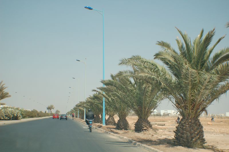 DSC_0451.JPG