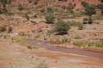 DSC_0573.JPG