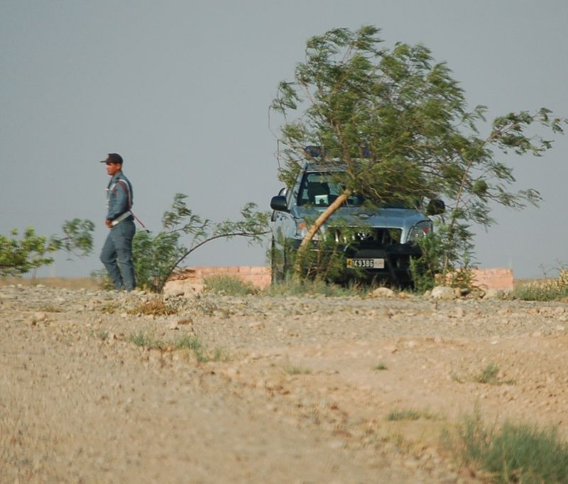 DSC_0746.JPG