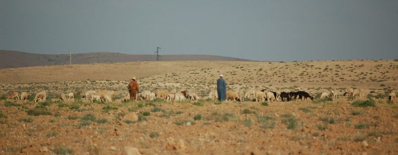 DSC_0750.JPG