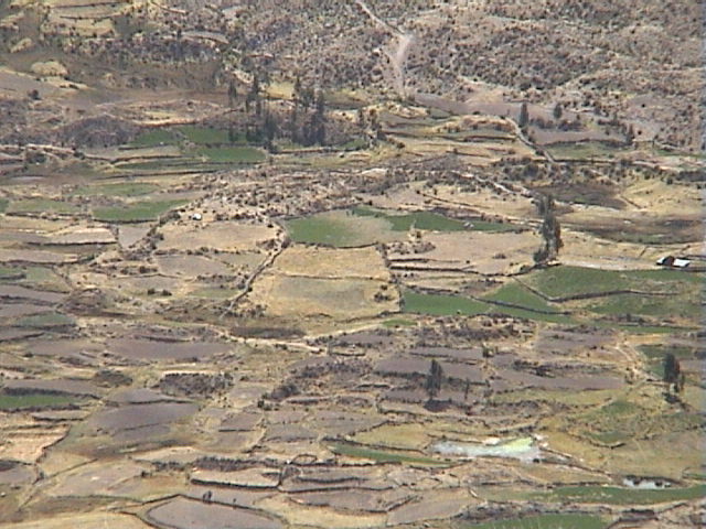 DSC00493