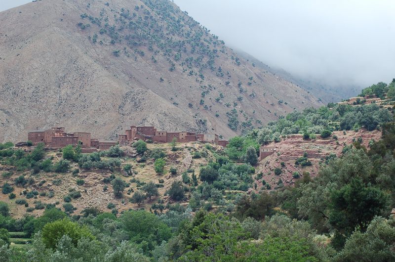 DSC_1242.JPG