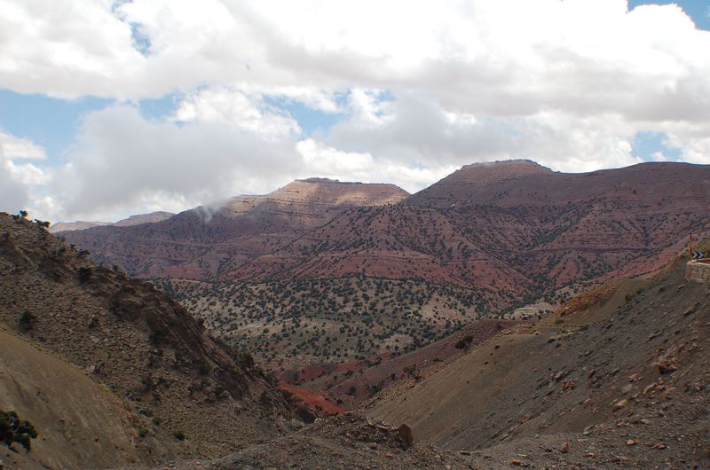 DSC_1268.JPG