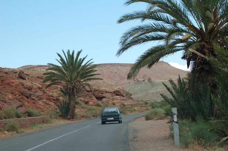DSC_1423.JPG