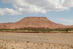 DSC_1442.JPG
