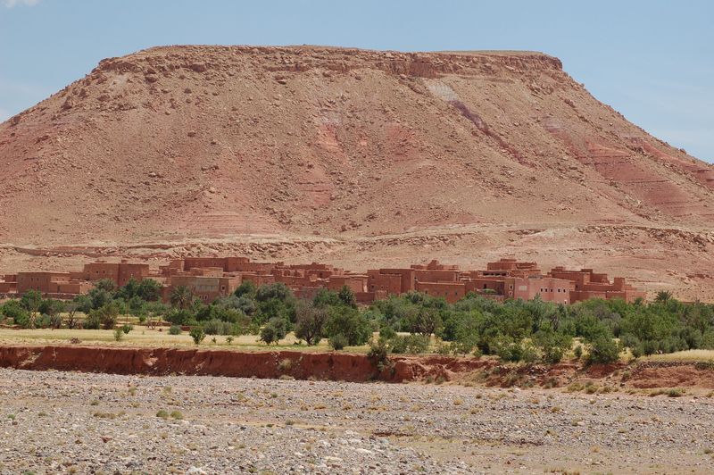 DSC_1445.JPG