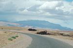 DSC_1553.JPG