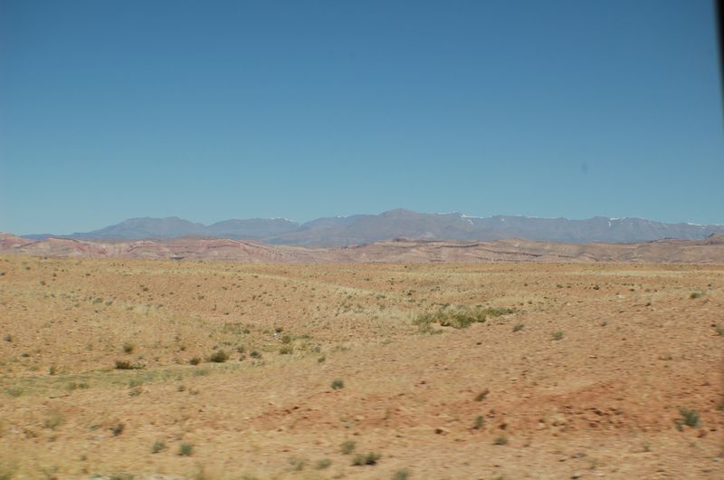 DSC_1862.JPG
