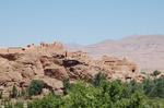 DSC_1894.JPG