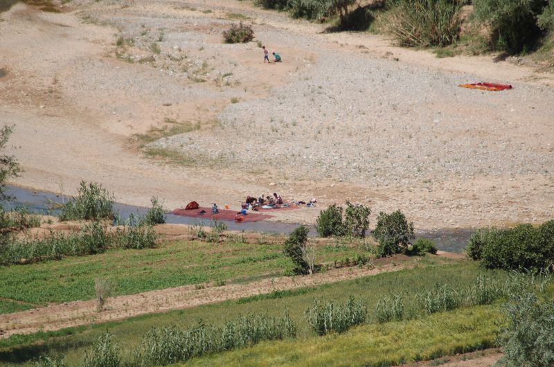 DSC_1923.JPG