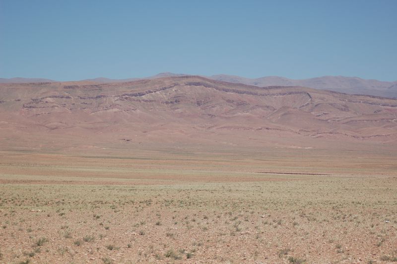 DSC_1946.JPG