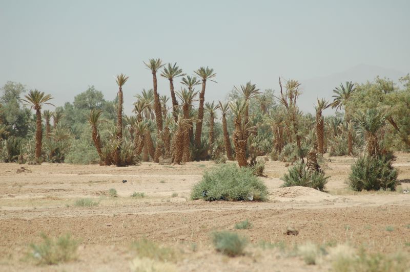 DSC_1983.JPG