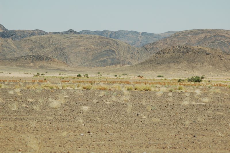 DSC_2019.JPG