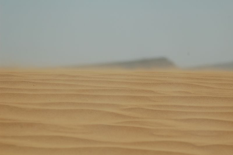 DSC_2069.JPG