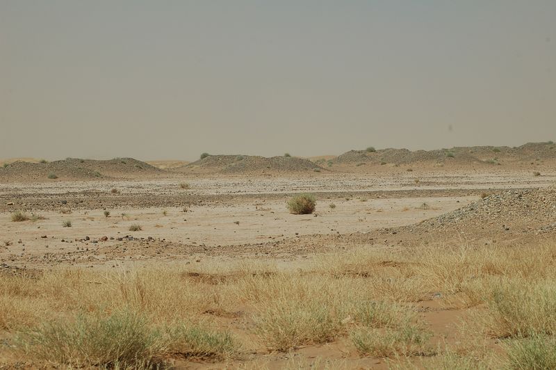 DSC_2073.JPG