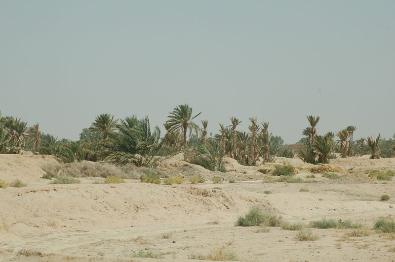 DSC_2084.JPG