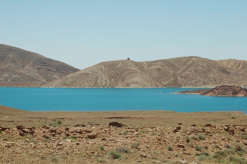 DSC_2223.JPG