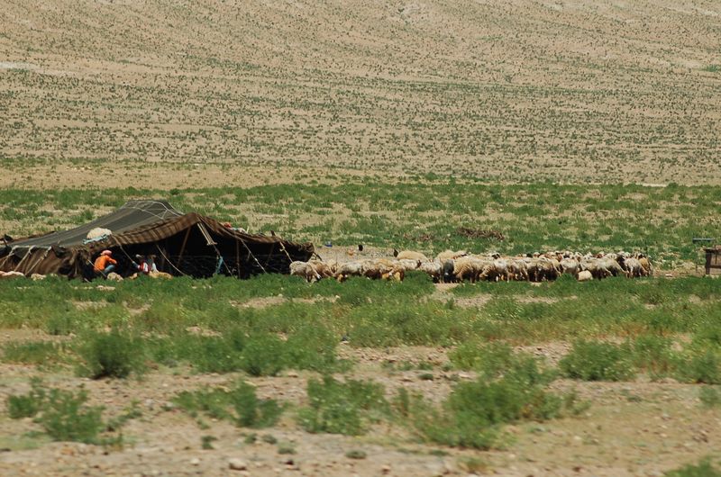 DSC_2401.JPG