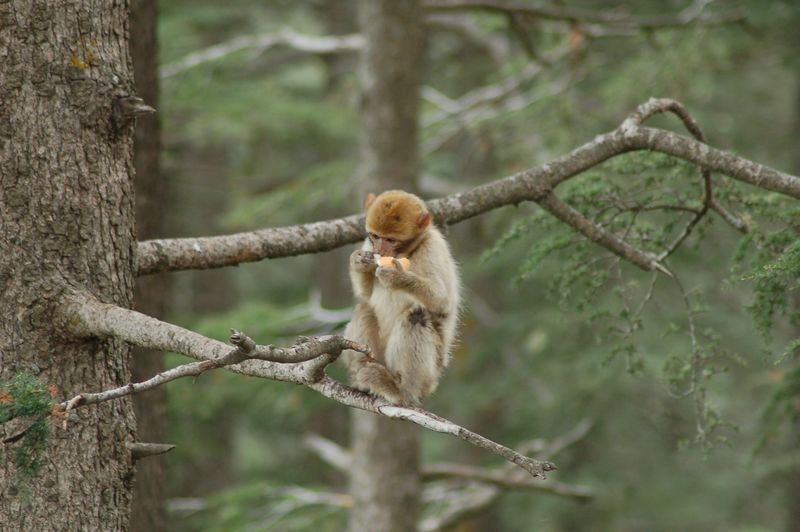 DSC_2734.JPG