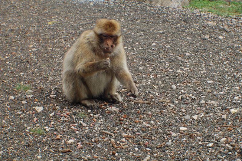 DSC_2752.JPG