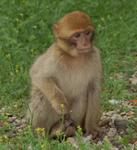 DSC_2824.JPG
