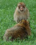 DSC_2864.JPG
