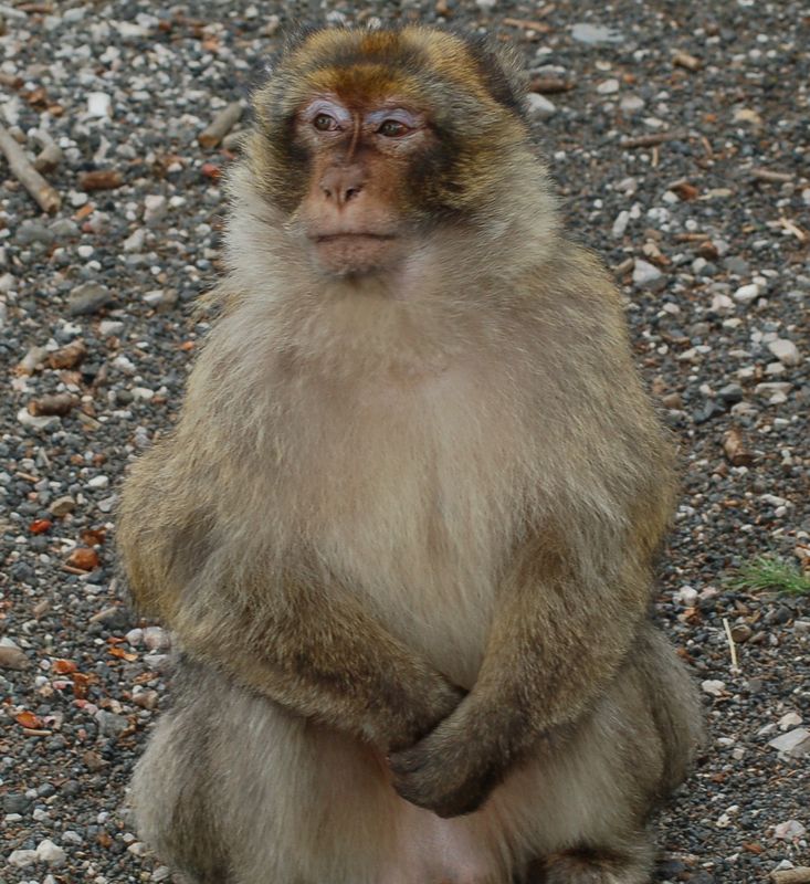 DSC_2879.JPG