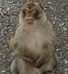DSC_2879.JPG